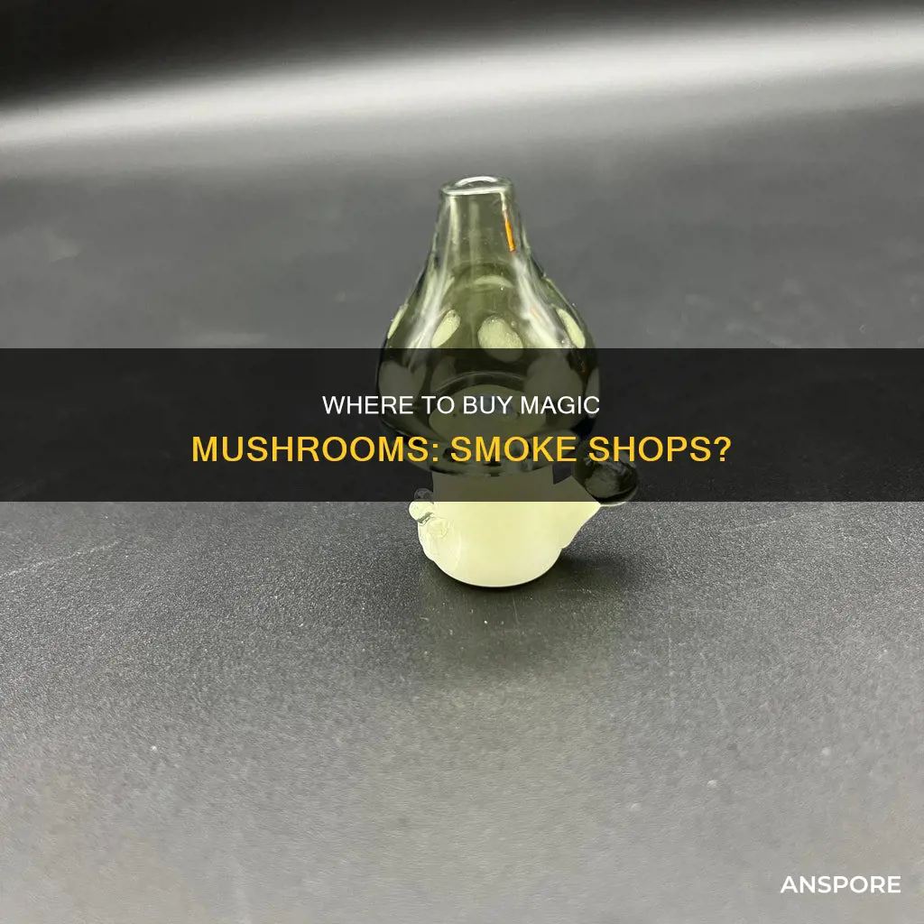 do smoke shops sell mushrooms