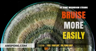 Mushroom Strains: Why Do Some Bruise More Easily?