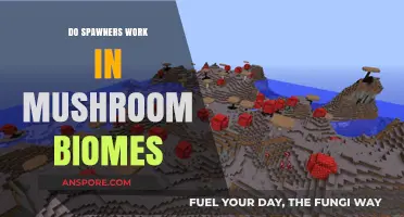 Spawners in Mushroom Biomes: What Works?