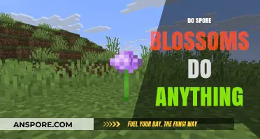 Do Spore Blossoms Serve a Purpose? Exploring Their Role in Nature