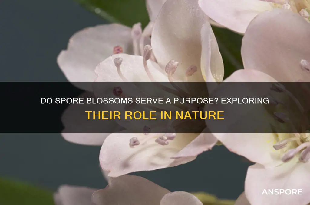do spore blossoms do anything