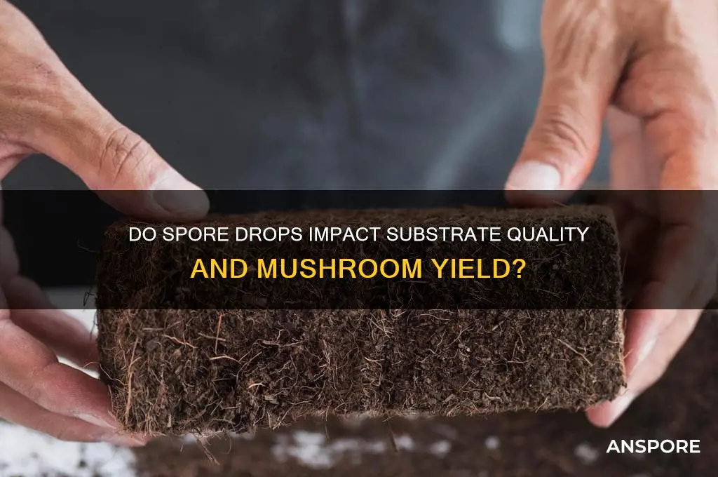 do spore drops affect your substrate