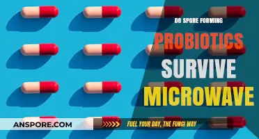 Microwave Impact on Spore-Forming Probiotics: Do They Survive the Heat?