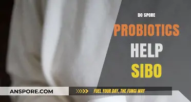 Spore Probiotics for SIBO: Effective Relief or Just a Myth?