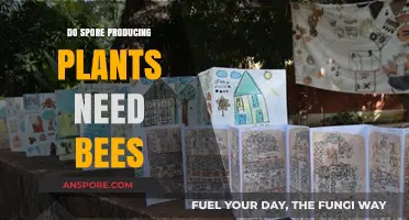 Do Spore-Producing Plants Rely on Bees for Reproduction?