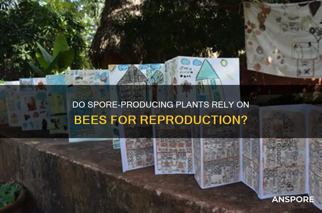 do spore producing plants need bees