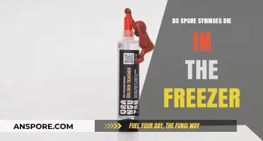 Can Spore Syringes Survive Freezing? Storage Tips and Lifespan Explained