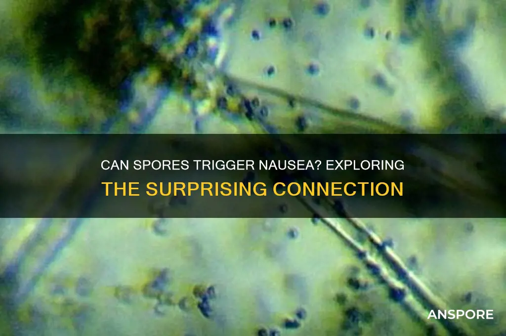 do spores affect nausea