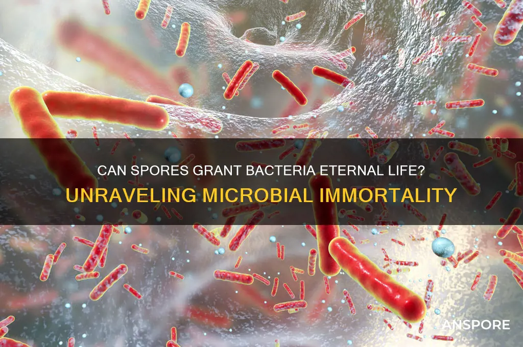 do spores allow bacteria to be immortal