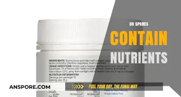 Do Spores Contain Nutrients? Unlocking Their Nutritional Potential