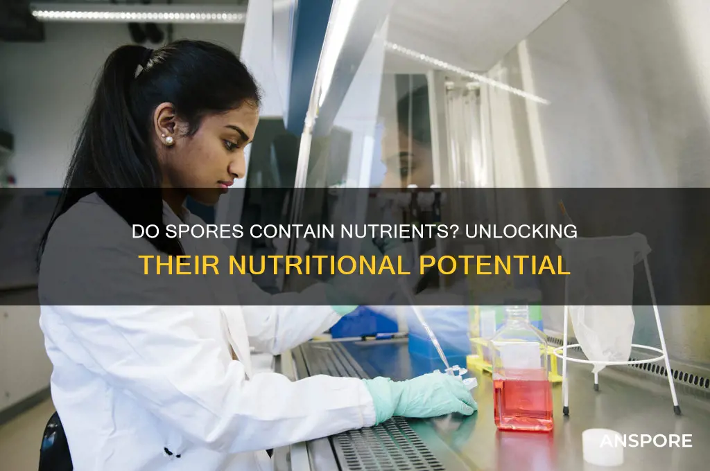 do spores contain nutrients