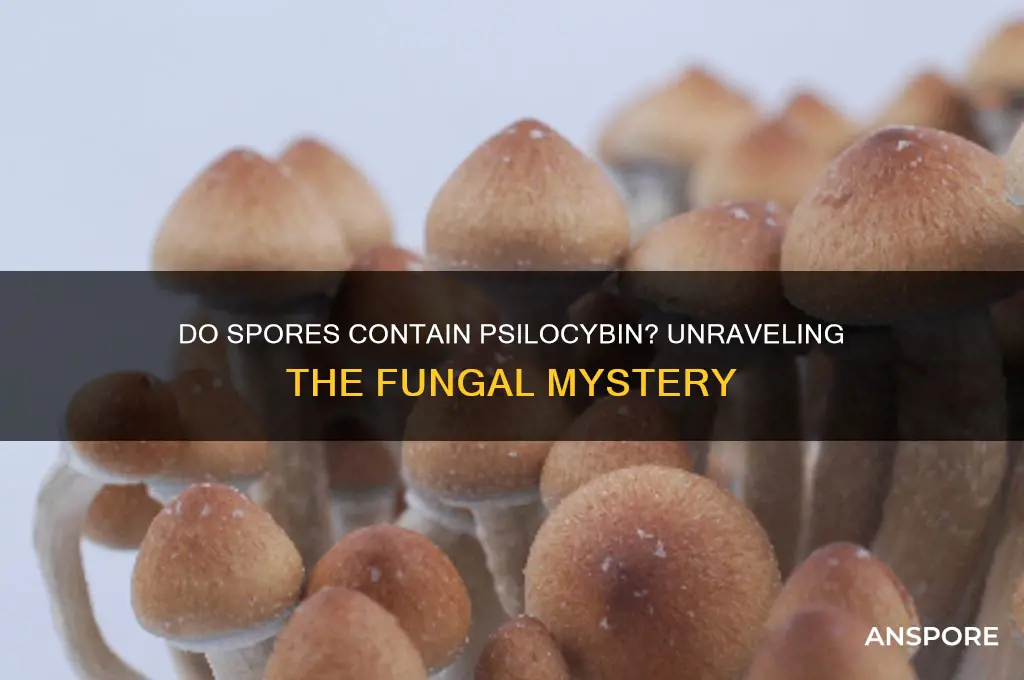 do spores contain pcyliciben