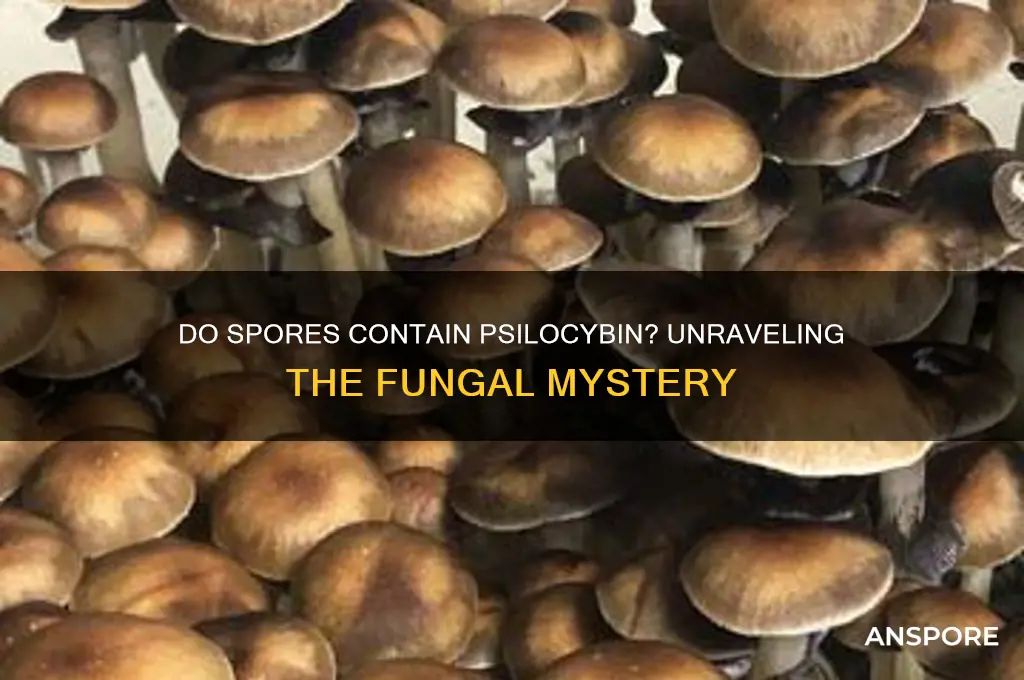 do spores contain psilocybin