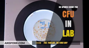 Do Spores Count as CFU in Lab Testing? Key Insights