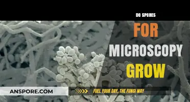 Can Microscopy Spores Grow? Unveiling the Truth About Cultivation