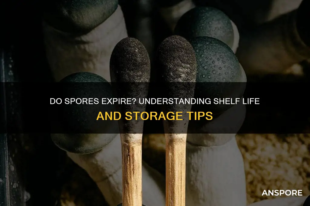 do spores go bad