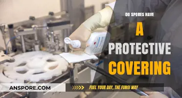 Do Spores Have a Protective Covering? Unveiling Nature's Survival Mechanism