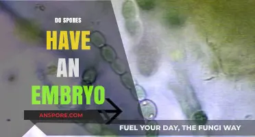 Do Spores Contain Embryos? Unraveling the Mystery of Plant Reproduction