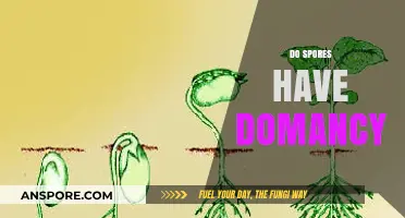 Understanding Spores: Do They Exhibit Dormancy and How Does It Work?