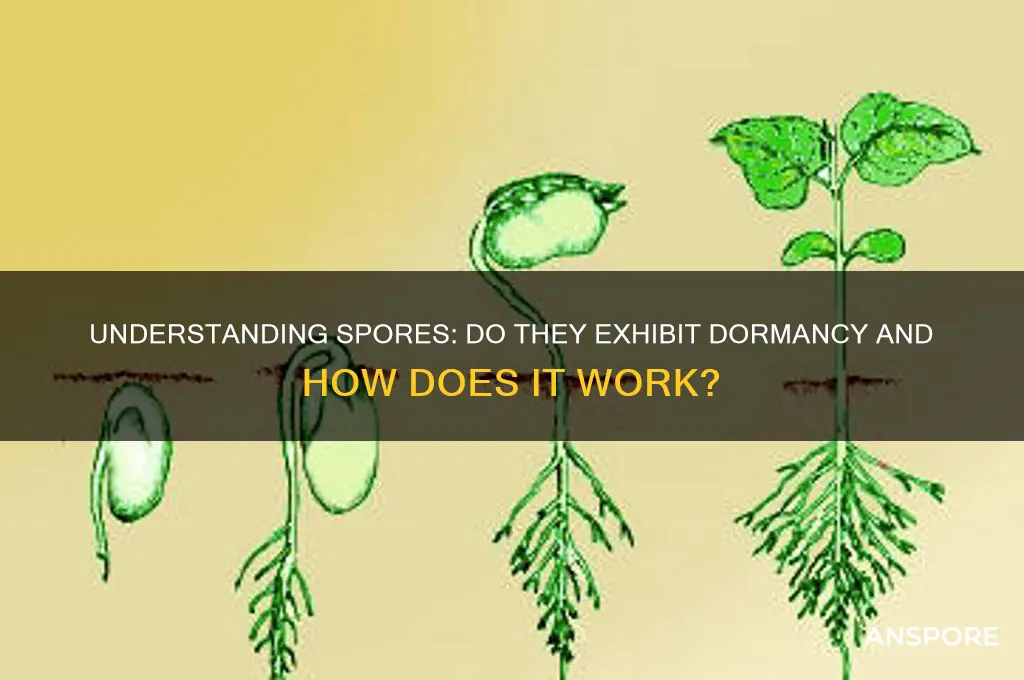 do spores have domancy