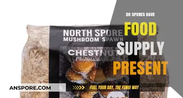 Do Spores Carry Their Own Food Supply? Unveiling the Survival Mechanism