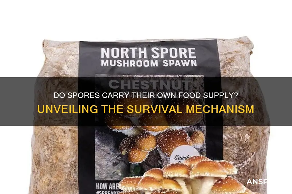 do spores have food supply present
