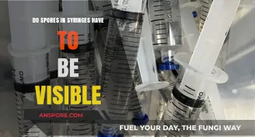Are Spores in Syringes Visible? Unveiling the Microscopic Truth