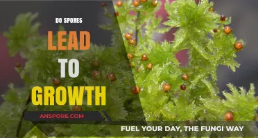 Do Spores Spark Growth? Unveiling the Science Behind Their Potential