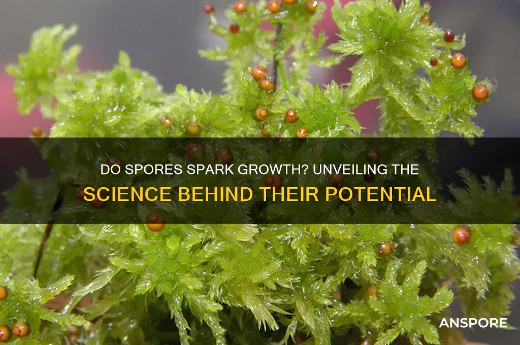 do spores lead to growth