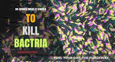 Spores: The Ultimate Defense Making Bacteria Harder to Kill?