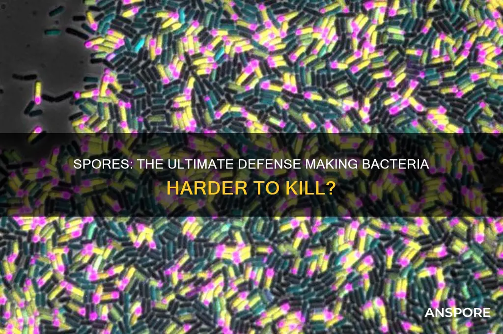 do spores mkae it harder to kill bactria