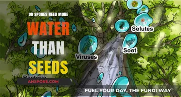 Spores vs. Seeds: Water Requirements Compared for Optimal Growth