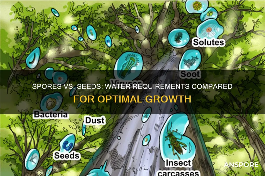 do spores need more water than seeds