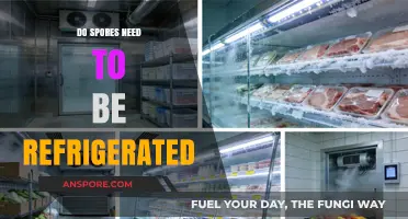 Should Spores Be Refrigerated? Storage Tips for Optimal Viability