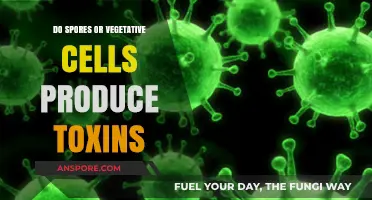Toxin Production: Spores vs. Vegetative Cells in Microbial Pathogens