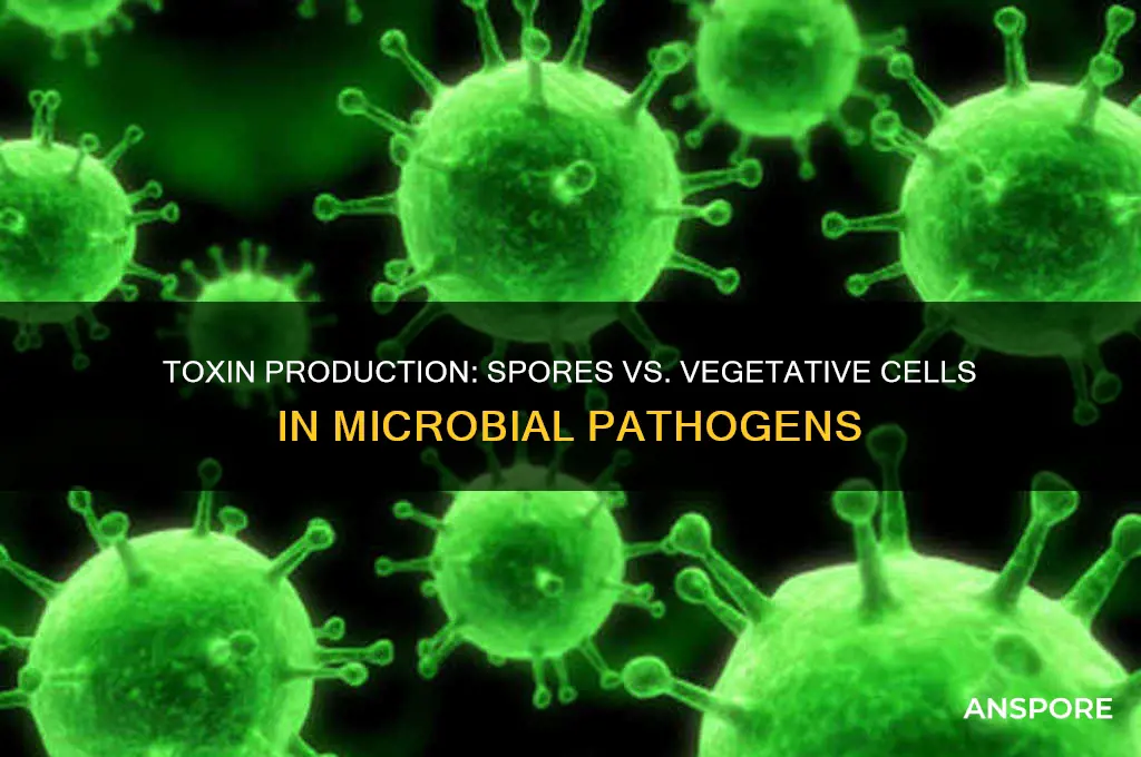 do spores or vegetative cells produce toxins