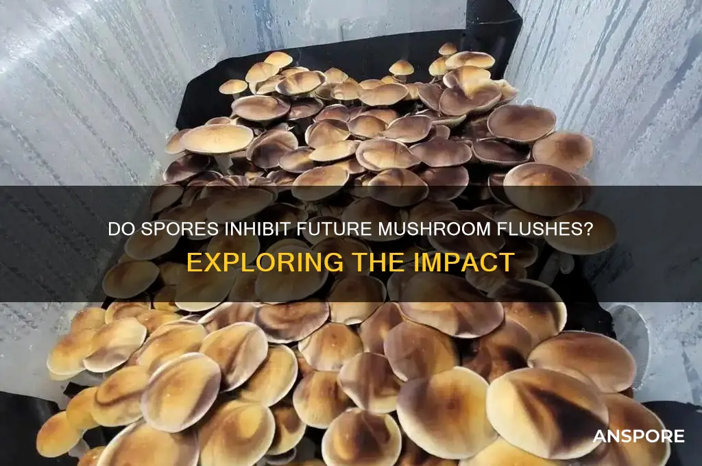 do spores prevent future flushes