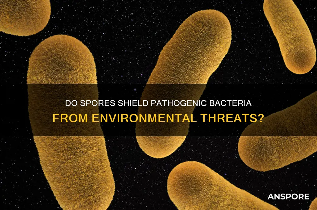 do spores protect pathogenic bacteria