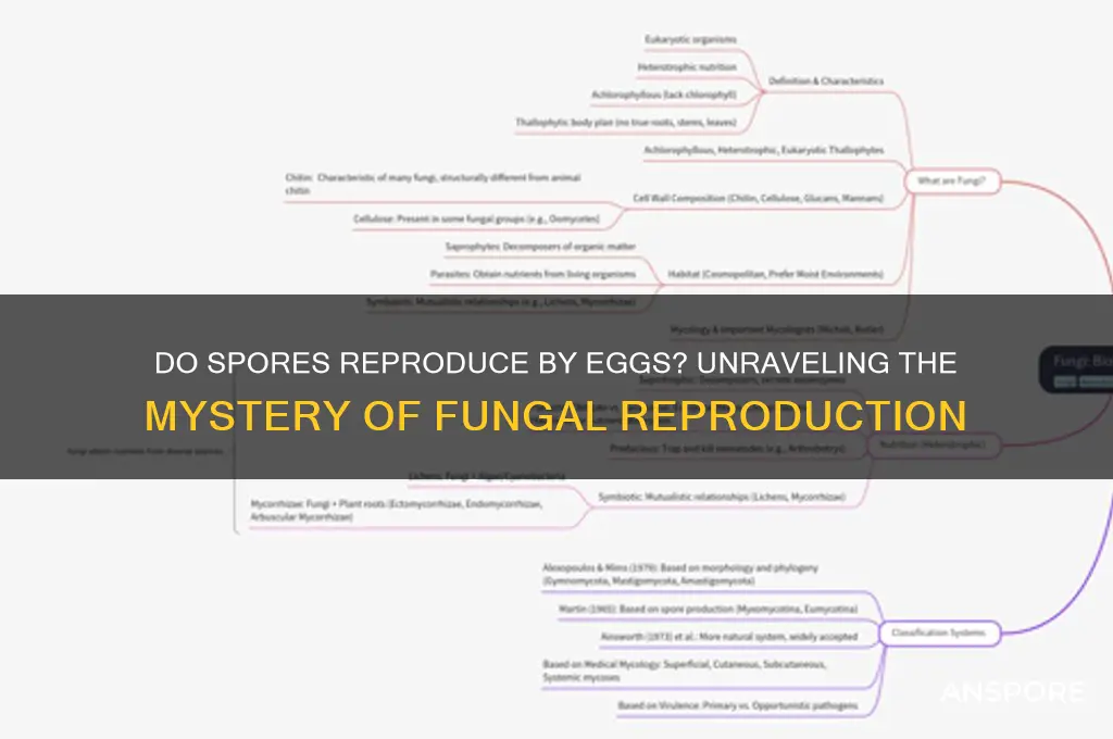 do spores reproduce by eggs