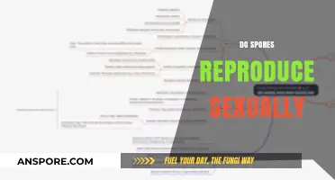 Do Spores Reproduce Sexually? Unveiling the Truth About Fungal Reproduction