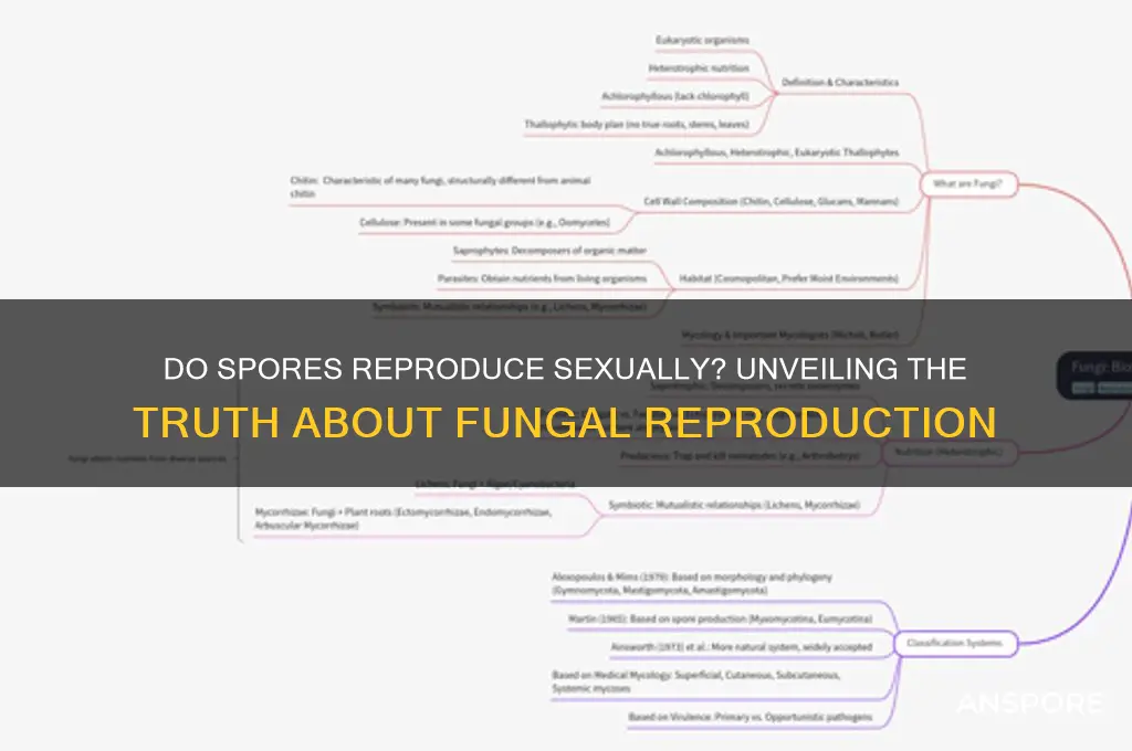 do spores reproduce sexually