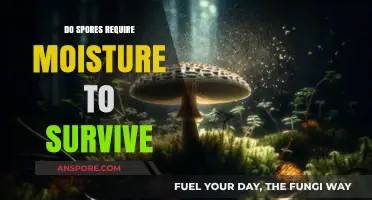 Do Spores Need Moisture to Survive? Uncovering the Truth
