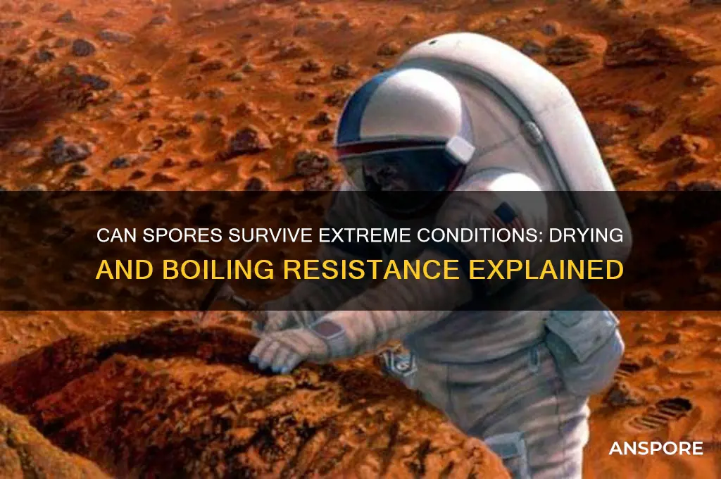 do spores resist drying and boiling