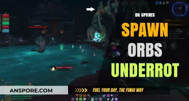 Do Spores Spawn Orbs in the Underrot? Exploring the Myth