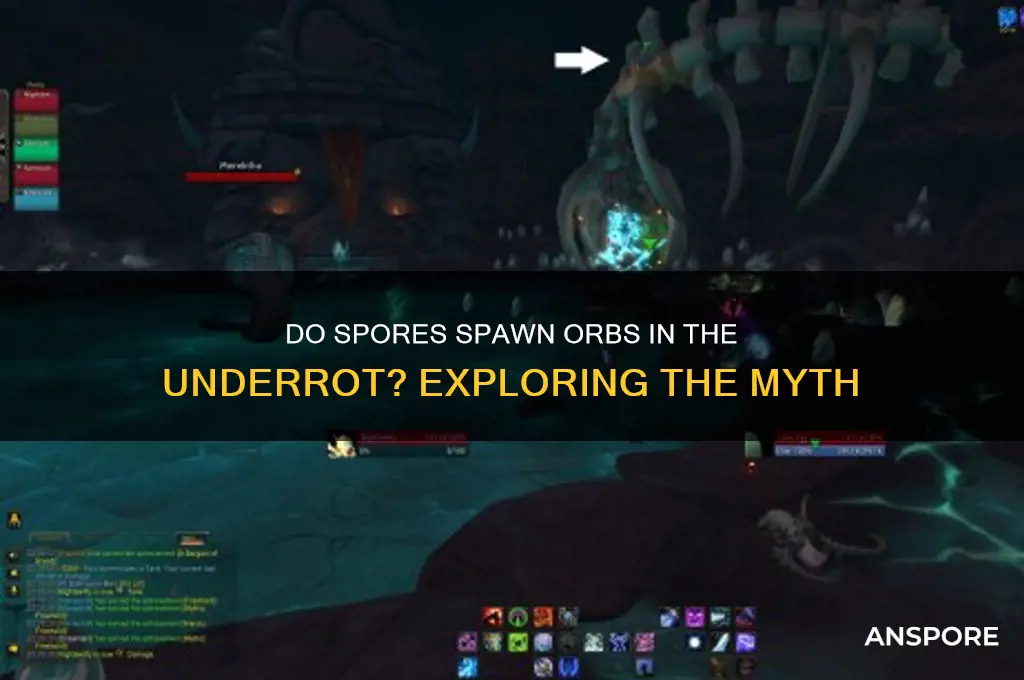 do spores spawn orbs underrot