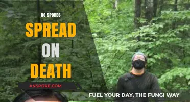 Do Spores Spread on Death? Unveiling the Fungal Afterlife Mystery