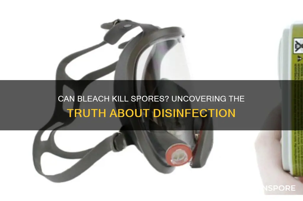 do spores survive bleach