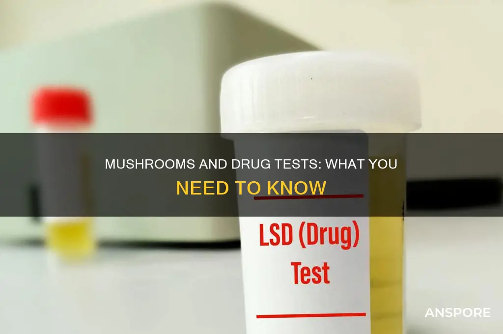 do standard drug tests test for mushrooms