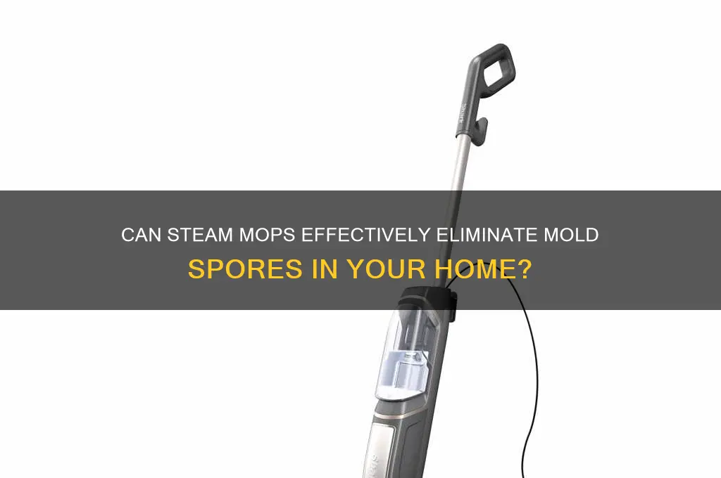 do steam mops kill mold spores