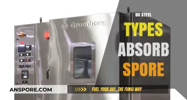 Steel Types and Spore Absorption: Unraveling the Myth and Facts